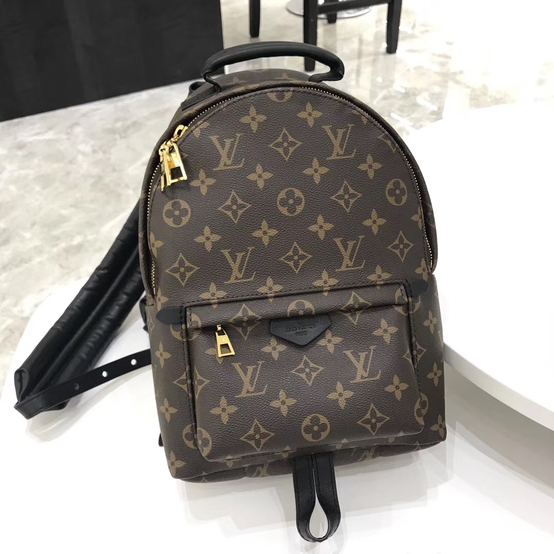 LV monogram backpack