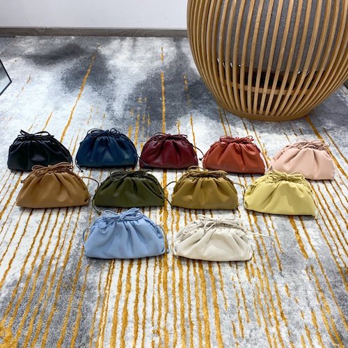 Bottega Veneta mini pouch