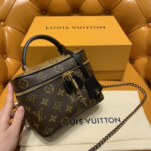 Louis Vuitton Vanity bag M45165