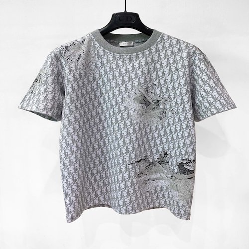 dior homme DIOR AND DANIEL ARSHAM DIOR OBLIQUE t-shirt