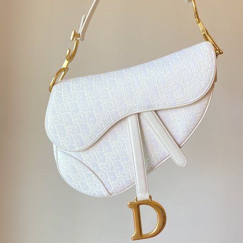 Dior Saddle bag new color