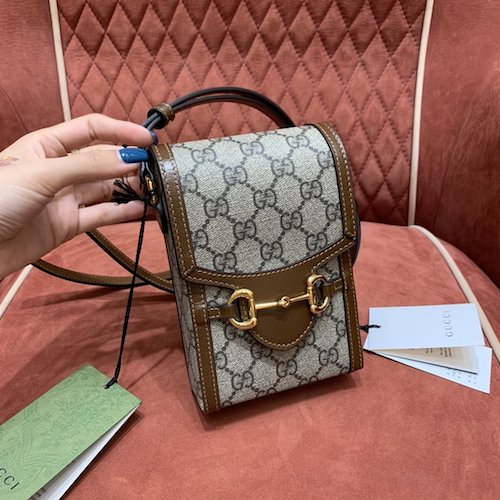 Gucci Horsebit 1955 monogram mini bag