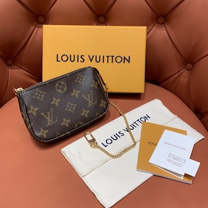 Louis Vuitton mini Pochette Accessories bag