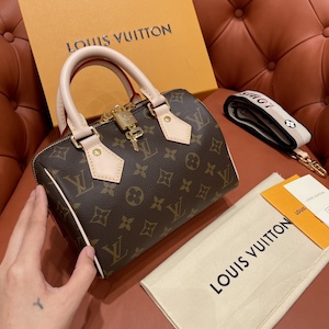 Louis Vuitton Speedy 20cm