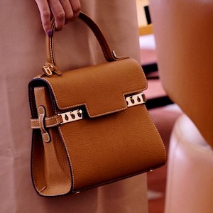 Delvaux Tempete Crispy PM bag