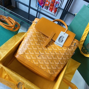 Goyard backpack