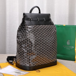 Goyard Steamer PM bag