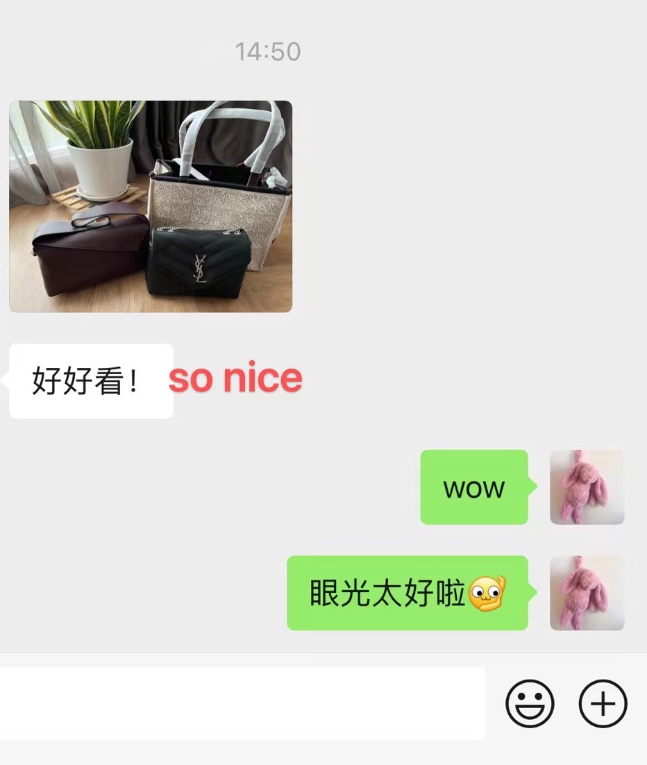 Customer's satisfied with our Loewe and YSL bag