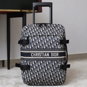 Dior trolley case