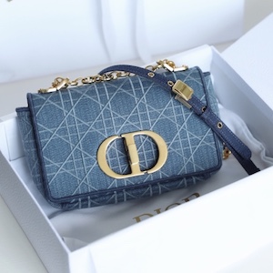 Dior denim caro bag